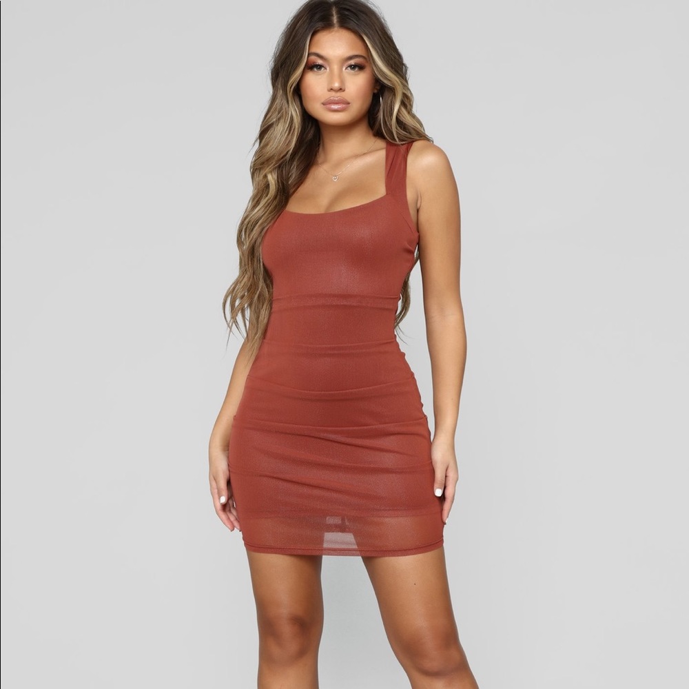 *Brand new Fashion Nova mesh mini dress*